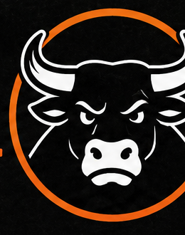 Websites No Bollocks bull mark